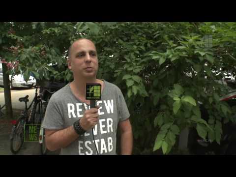 Retróláz a Stereo Palmánál