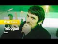 Zoo Tobogan Efecte Collins 2021