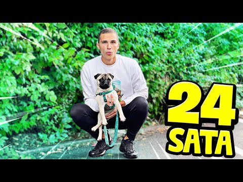ČUVAM IMPETOVOG PSA PABLA 24 SATA!