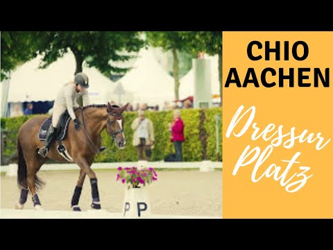 Dressurplatz | CHIO Aachen  | Impressionen | 2016