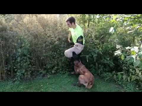 Hera die vom Ennstal Vorbereitung zur Bayerischen Meisterschaft 2019