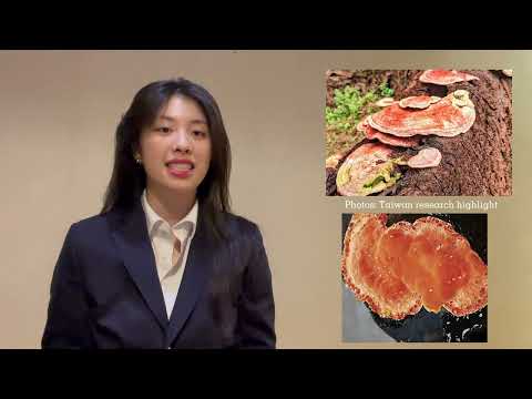 Sylvia law -  Taiwanofungus Camphoratus video