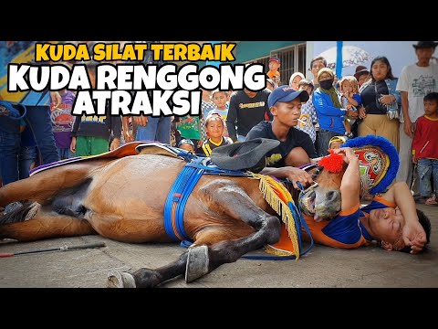 Renggong horse - Geboy group renggong horse attraction