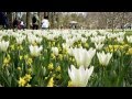 Весна идет ! Spring is coming ! 