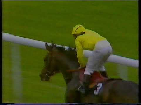 1988 King George VI and Queen Elizabeth Diamond Stakes Mtoto Includes Replay & Enclosure