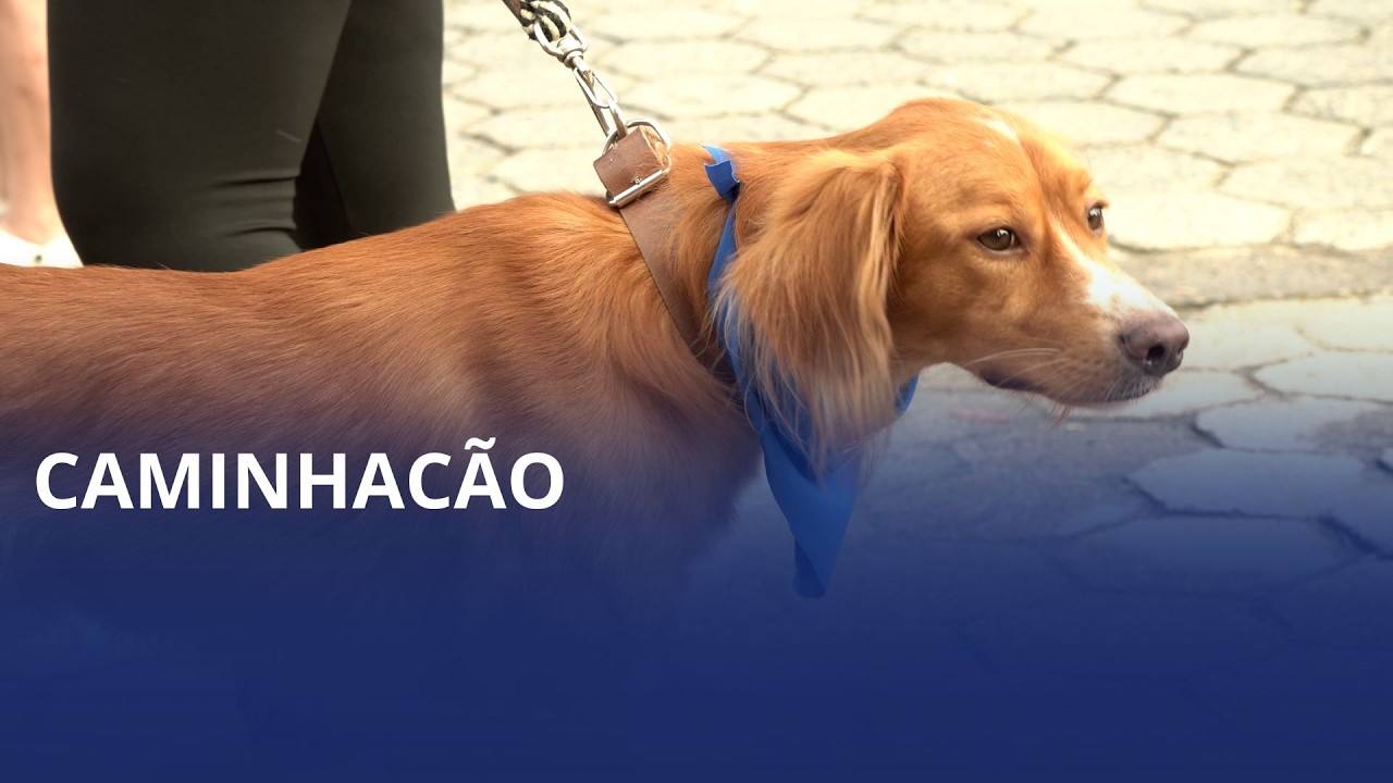 Caminhacão. Evento em Rio do Oeste arrecada ração