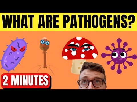 PATHOGENS QUICKLY EXPLAINED