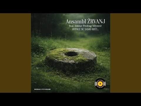 Žene vole oficire (feat. Doktor Predrag Mitrović)