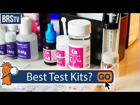 What Are the Best Saltwater Aquarium Test Kits?