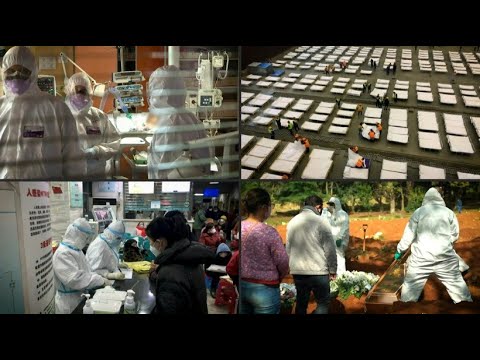 Bilder der Pandemie: Das Corona-Jahr 2020