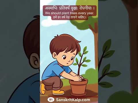 We should plant trees every year