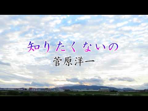 知りたくないの 菅原洋一