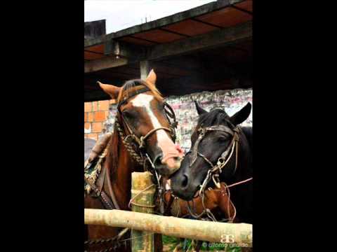 FG Me Libré de Una Condena - Luis Lozada El Cubiro