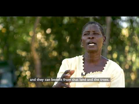 Regreening Homa Bay: Using trees to boost food security and tackle climate change (long version)
