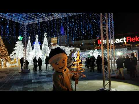 Amaze Christmas lights. Rosemont, IL.