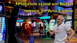 Very Big Win Buffalo Link Slot Machine @ Aria Casino Las Vegas #slotmachine #lasvegas #slot