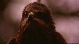 Raekwon - Snake Pond