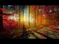 Bella Ciao Relaxing Piano Cover 1 Hour Long Relaxing Music Romantic Melodic La Casa De Papel