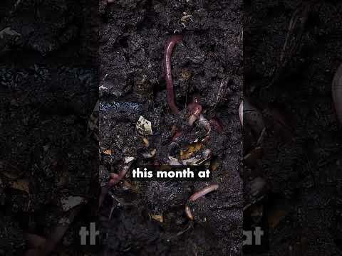 PINA's Online Teaching Guide: Mastering Permaculture Webinars