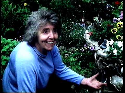 The Front Garden - Candida Lycett Green