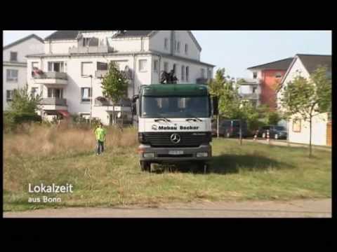 Lokalzeit Bonn 19.09.09 Green Juice Festival