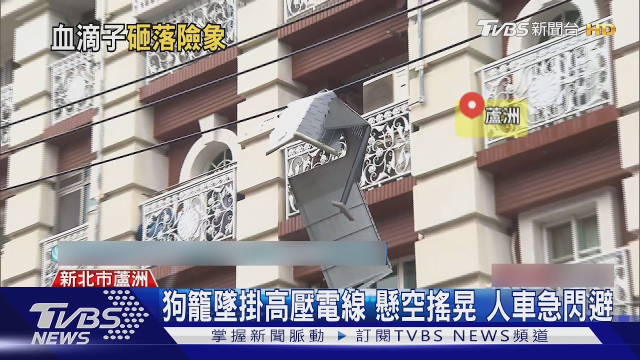 影音/土城大樓磁磚墜落差點砸人!女子撐傘「碎片炸滿地」驚險一瞬間