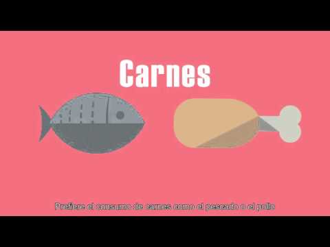 Alimentación como estilo de vida saludable Subtitulos