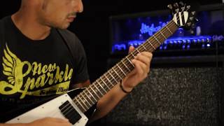 Vinnie Moore - Race with destiny (Guitar Cover)
