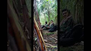 Download lagu SENJATA SNIPER TNI SPR2 PINDAD KAL.12,7mm‼️#shorts#shortsvidio mp3