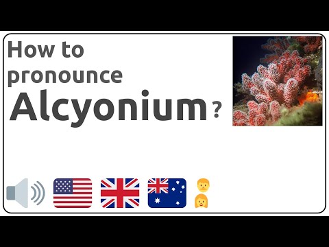 How to pronounce Alcyonium in english?