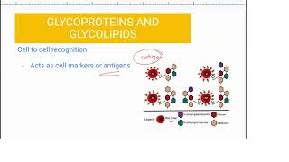 Cambridge International A Levels - Biology [9700] : Cell Membranes and Transport