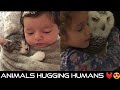 Funniest Animals Animals Hugging Humans Funny Animal Videos Funny Pet Videos Animal Kissing