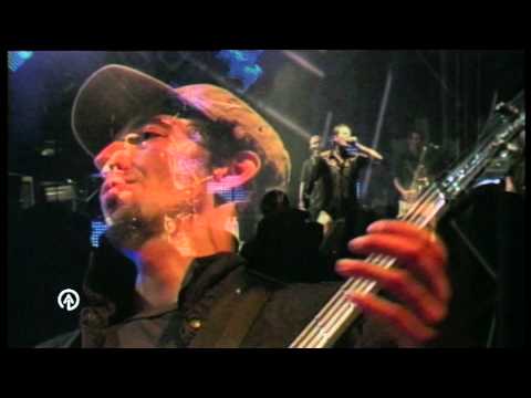 WASHINGTON DEAD CATS - Crazy Voodo Woman - LIVE STRASBOURG 2010