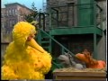 Sesame Street Buster Meets Summer Squall