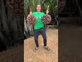 The Most Unique Fruit In The World Here S How You Eat It Shorts