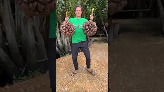 The Most Unique Fruit in the World - Here&#39;s How You Eat It! #Shorts