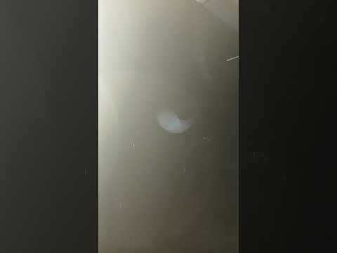 san Vicente misiones 2026 .02 03