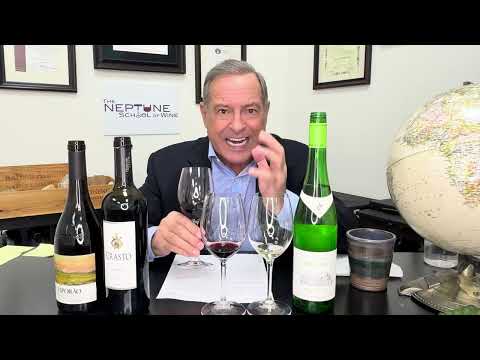Wines from Portugal with Master Sommelier Peter Neptune Feb 2025