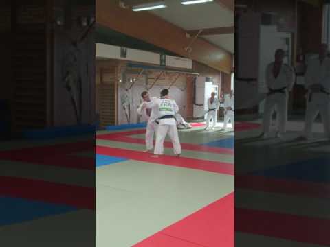 Stage Départemental  Enseignants Nord 2016