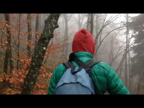 Persée DÉTRUIT Méduse