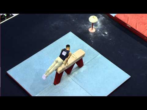 LOUIS SMITH MBE - POMMEL HORSE - 2015 British Gymnastics Championships - Senior All Around