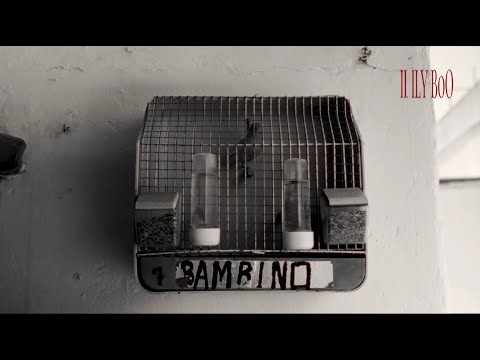 Kenya Racaile - ILY BoO (Storyline Visualizer)