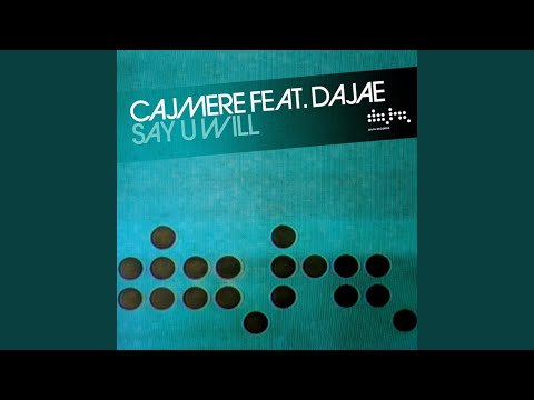 Say U Will (Green Velvet Remix)