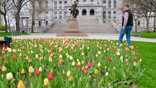Discover Spring in Albany NY | Bizi Media Co.