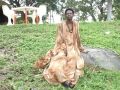 Polo Dala Gi Yesu