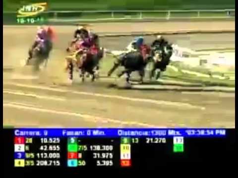 LA RINCONADA 9 CARRERA, DOMINGO 18 DE OCTUBRE DEL 2015