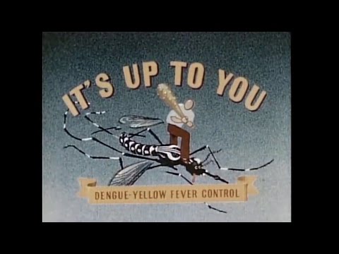 download lagu mp3 mp4 World Dengue Day 2019, download lagu World Dengue Day 2019 gratis, unduh video klip World Dengue Day 2019