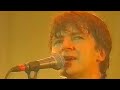 Crowded House Distant Sun Scotland 1994 HD