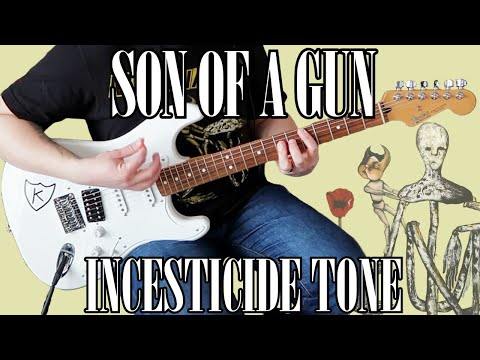 Nirvana Son of a Gun Tone | Guitar Cover with Incesticide Studio Tone
