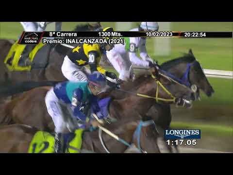 230210 c08 - BAG BIG - HIPODROMO DE MAROÑAS